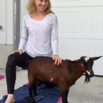 Goat Yoga & Langley Wineries Tour 10