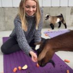 Goat Yoga & Langley Wineries Tour 12