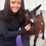 Goat Yoga & Langley Wineries Tour 5