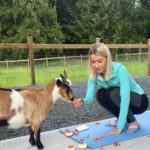 Goat Yoga & Langley Wineries Tour 6